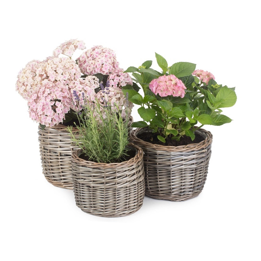 Round Antique Wash Wicker Planter – Rustic Garden Basket Pot